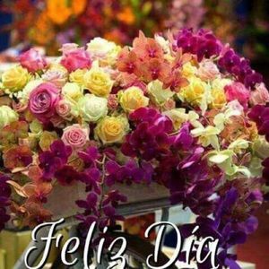 Meet your Posher, Rosa